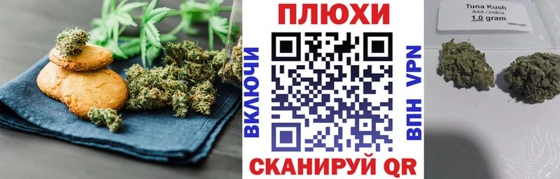 Купить закладки  Юрга  Cannafood конопля 