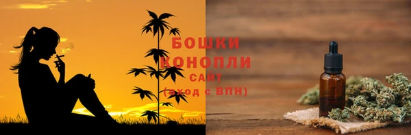 винт Арсеньев