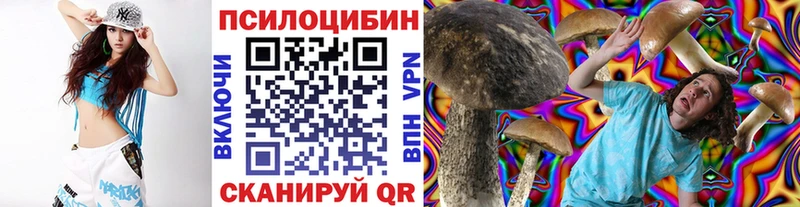 Купить  Юрга  Псилоцибиновые грибы Psilocybe 